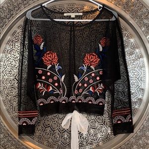 Hippie Laundry Sheer Embroidered Blouse S